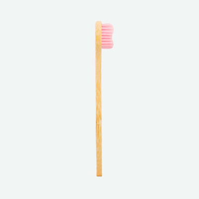 Brosse à dents en Bambou 2
